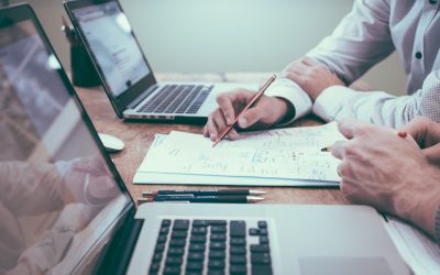 Transitional Financial Advice Provider Licence